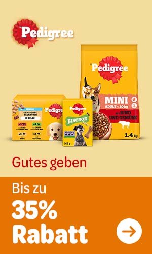 Pedigree-Angebot