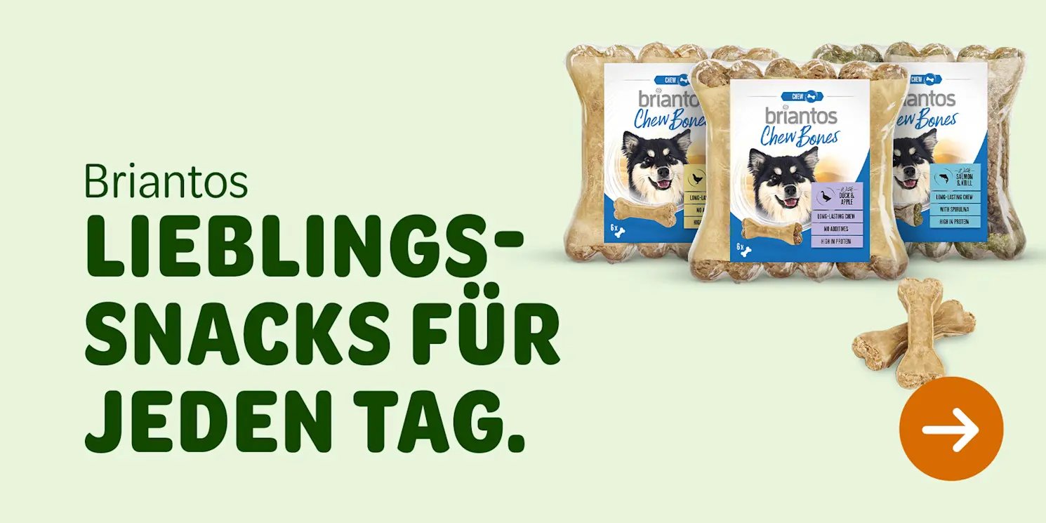 Briantos Lieblingssnacks für jeden Tag