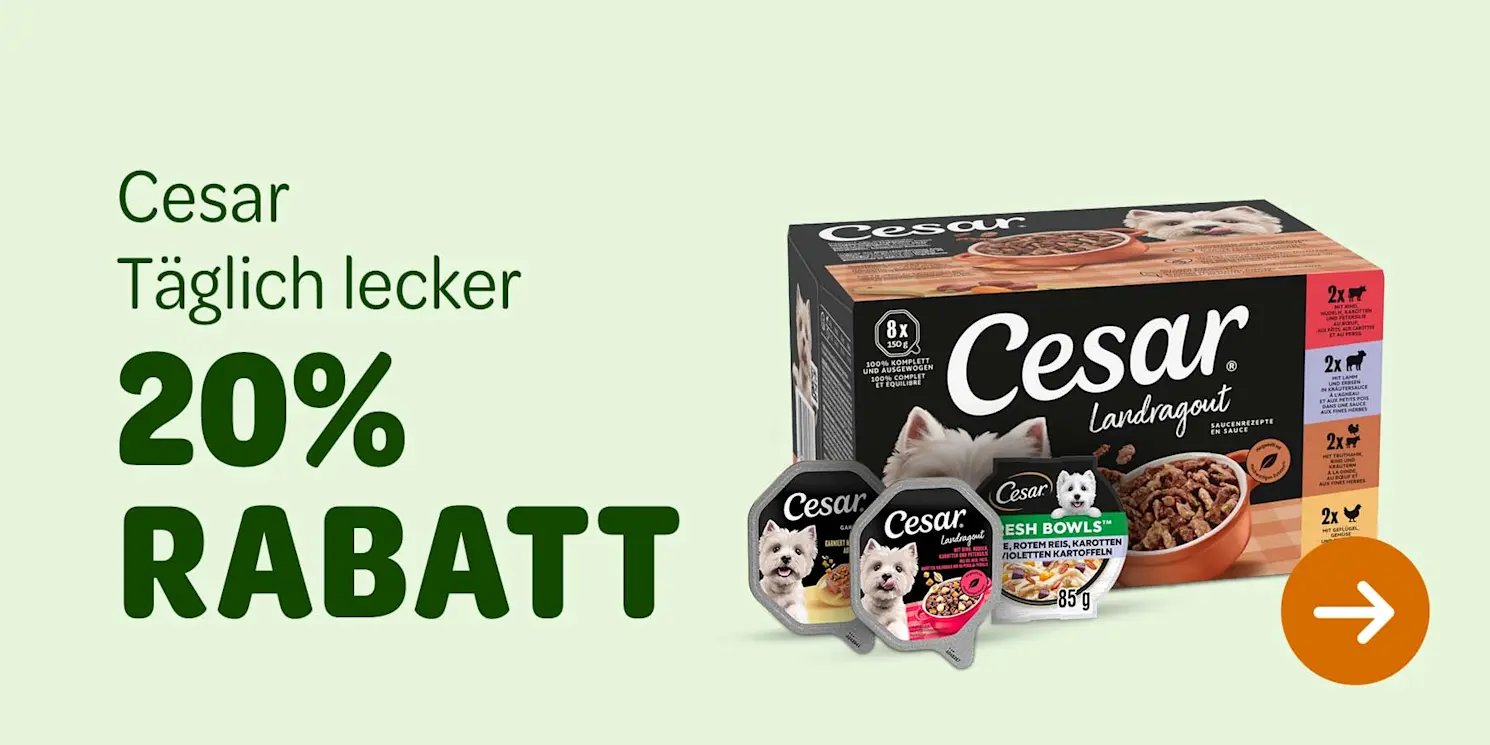 Cesar: 20 % Rabatt