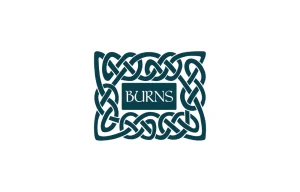 Burns