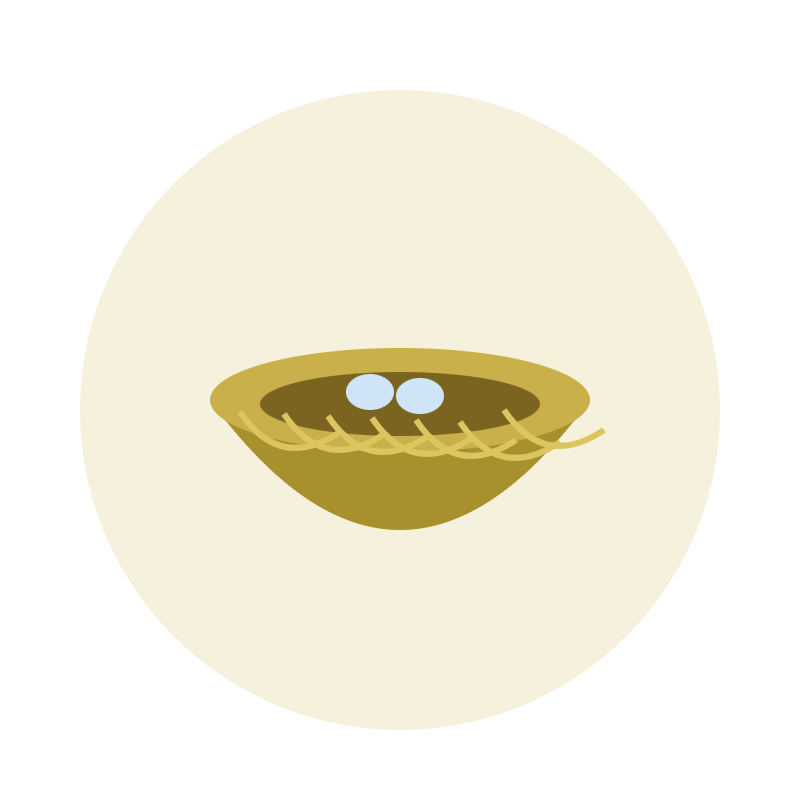Canary Nest Cup