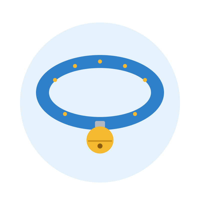 Cat Collar with Bell
