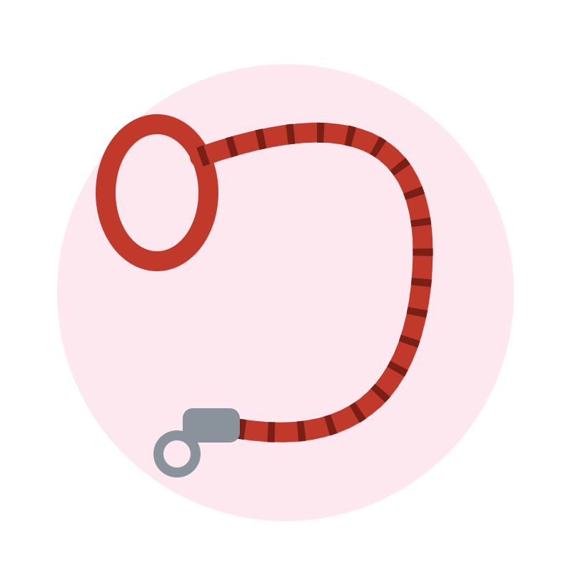 Nylon Dog Leash