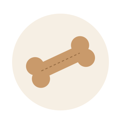 Plush Bone Toy, 34 cm, squeaky