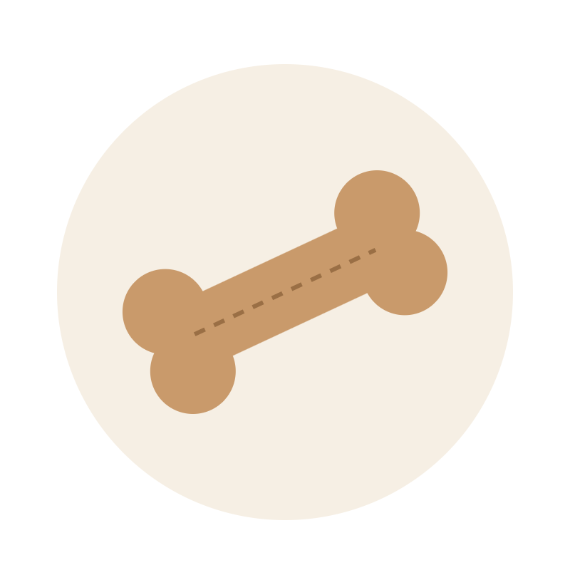 Plush Bone Toy