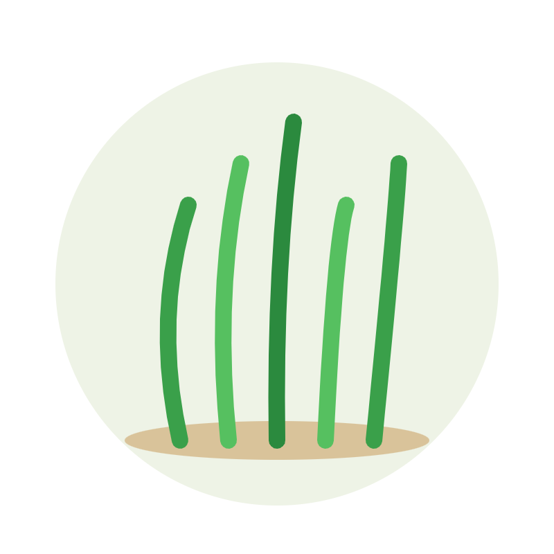 Artificial Plant Set