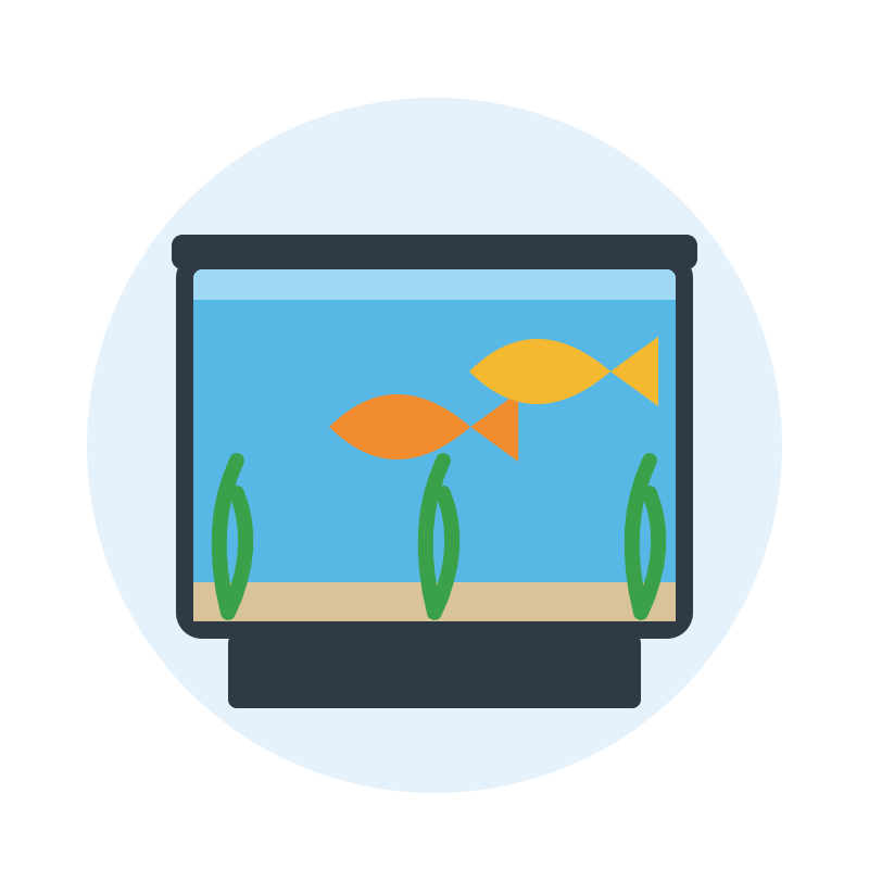 Starter Aquarium Set