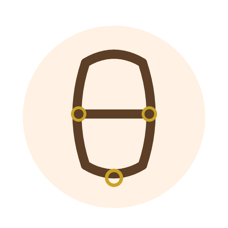 Leather Halter