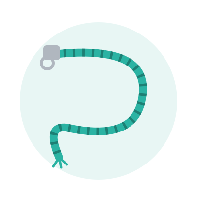 Lead Rope, 2 m, with snap hook