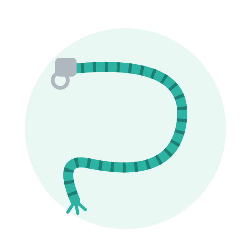 Lead Rope