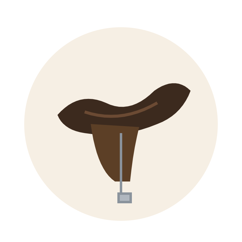 Dressage Saddle
