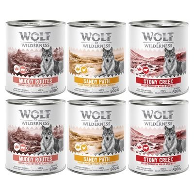 Wolf of Wilderness Senior - Mixpaket